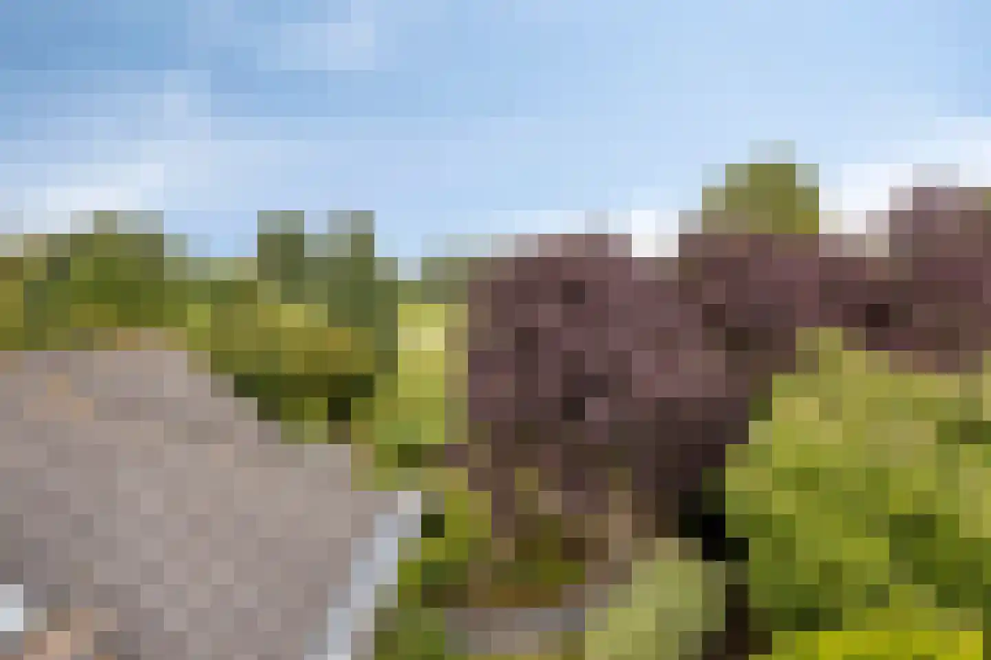 Golfresidentie 53 Dronten thumbnail 58