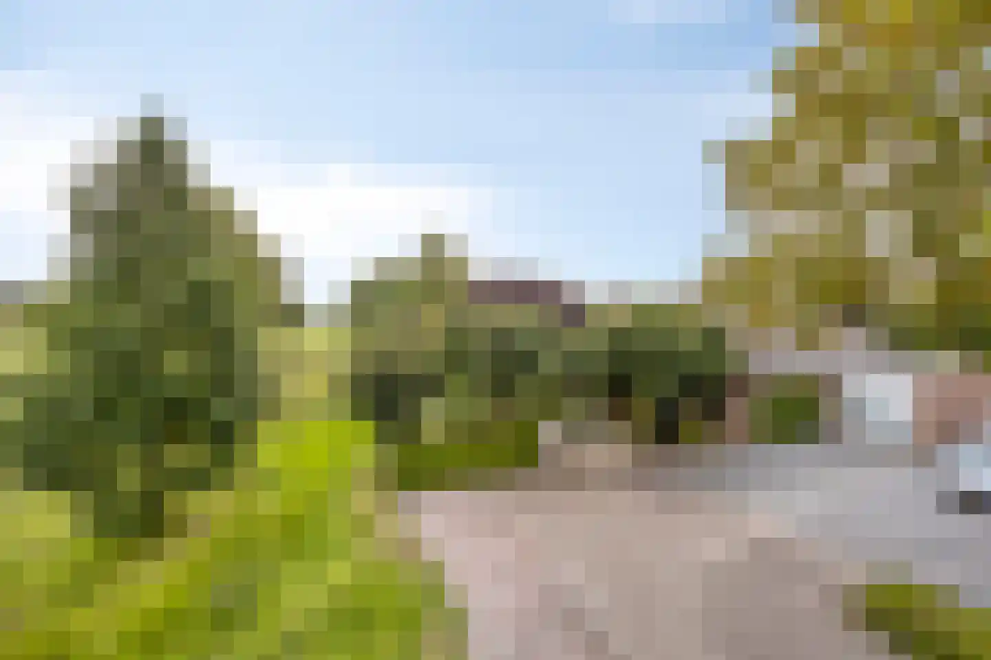 Golfresidentie 53 Dronten thumbnail 59