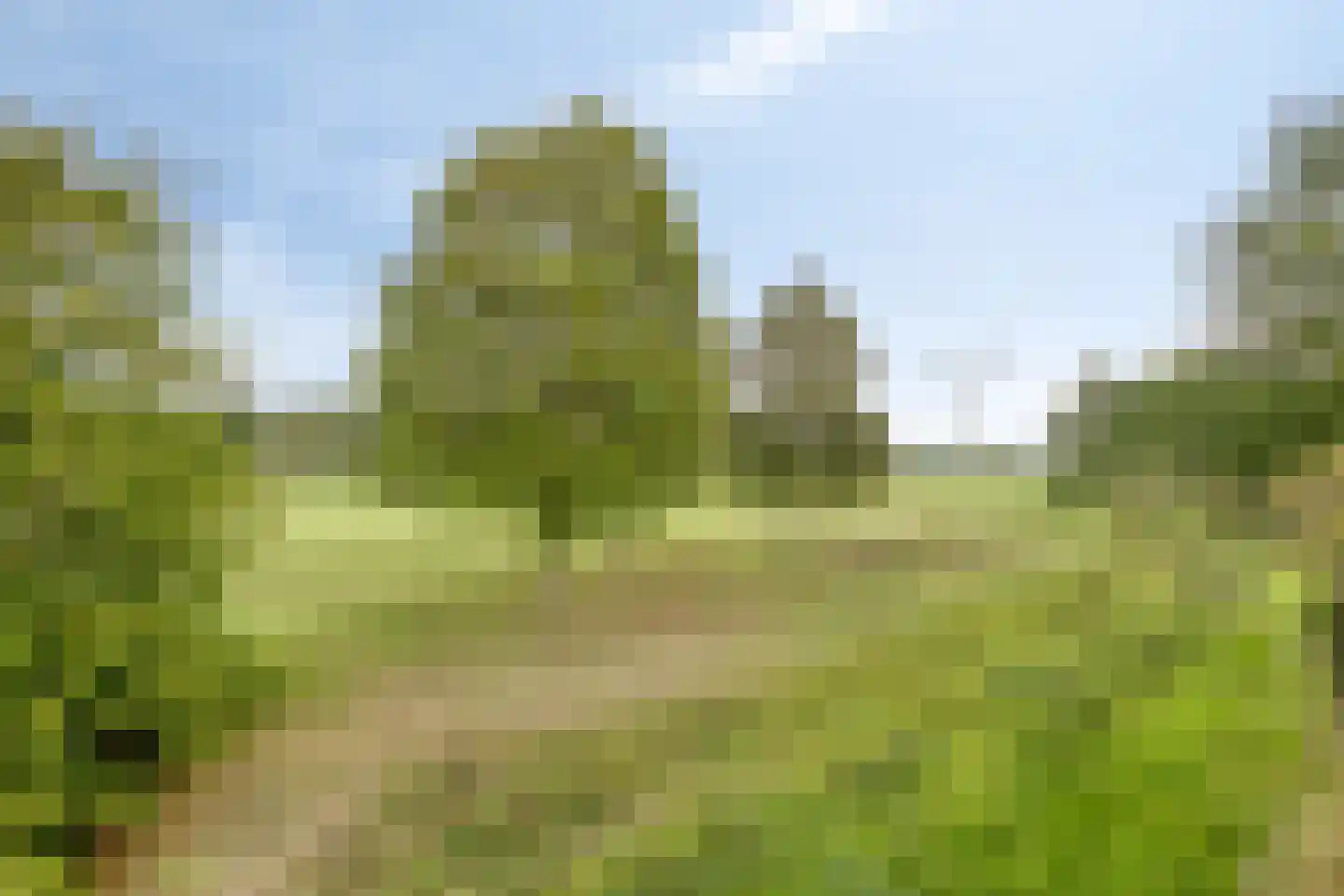 Golfresidentie 53 Dronten thumbnail 60