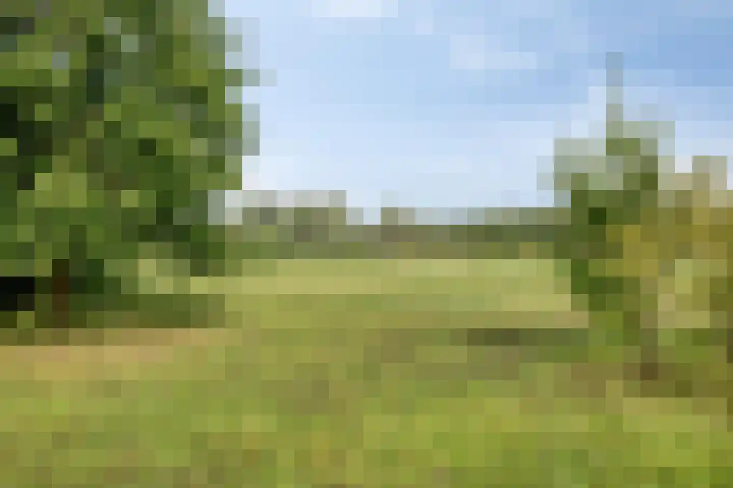 Golfresidentie 53 Dronten thumbnail 61