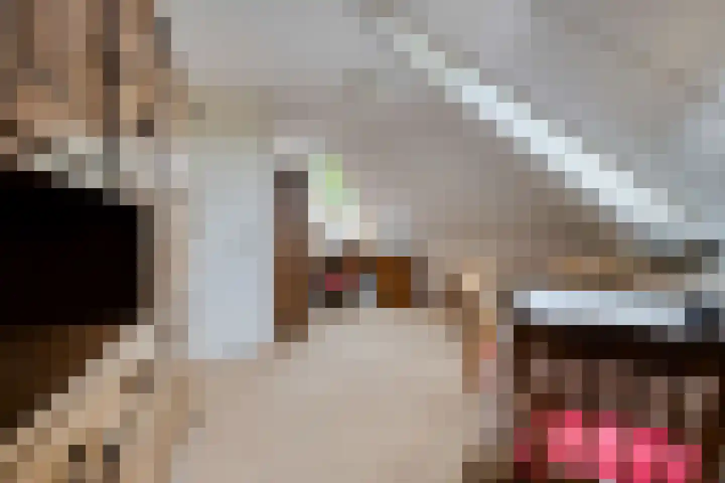 Golfresidentie 84 Dronten thumbnail 34