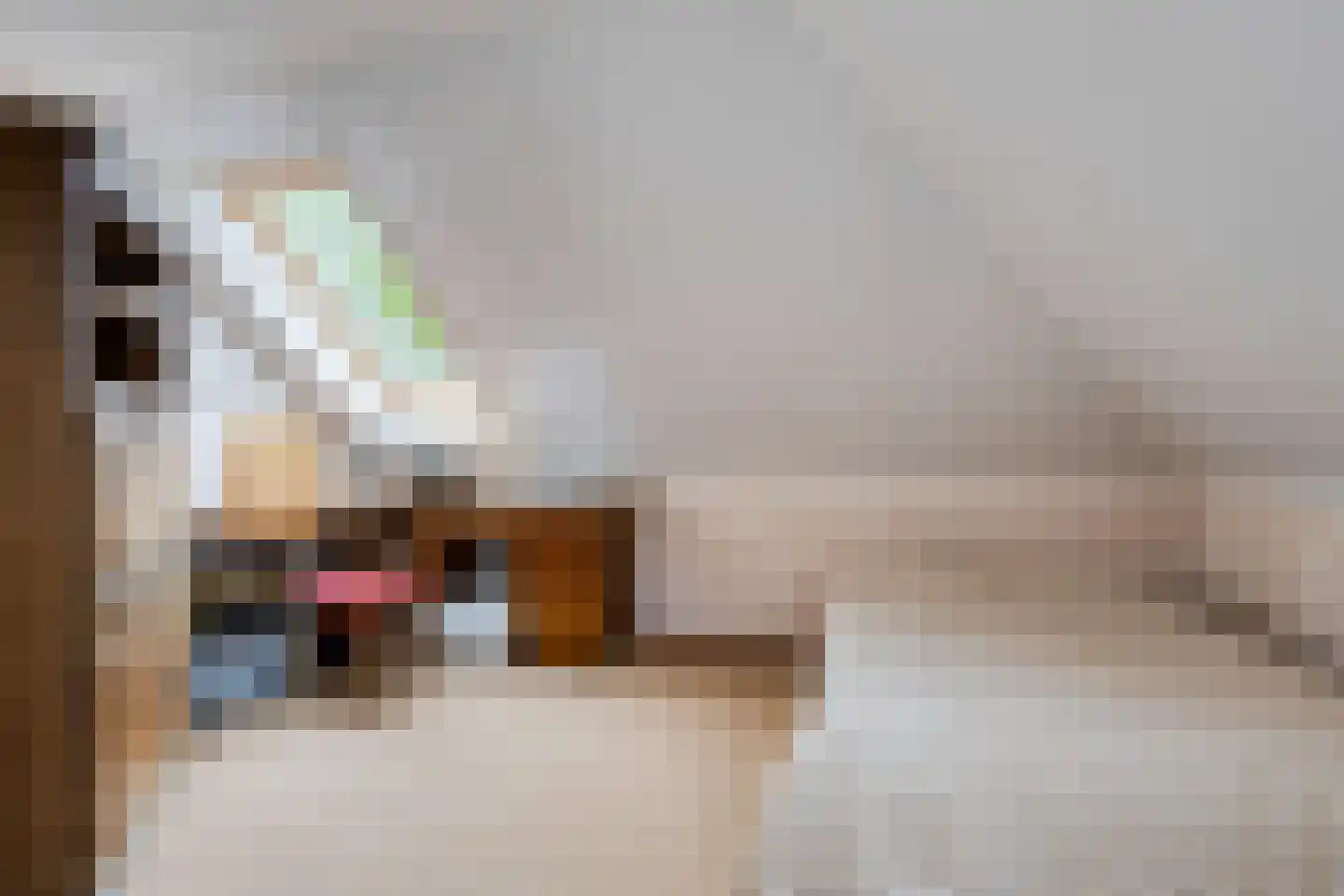Golfresidentie 84 Dronten thumbnail 35