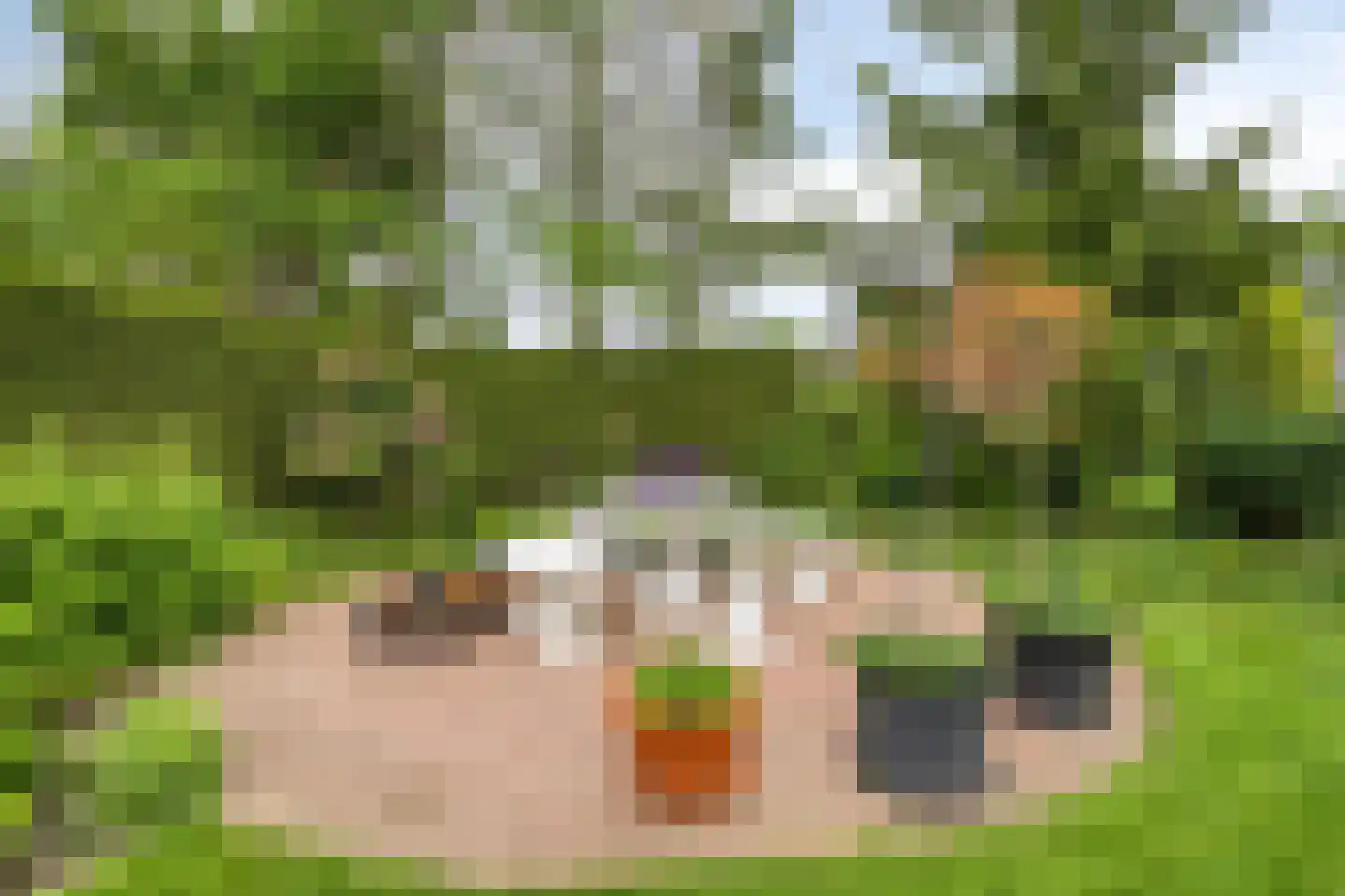 Golfresidentie 84 Dronten thumbnail 45