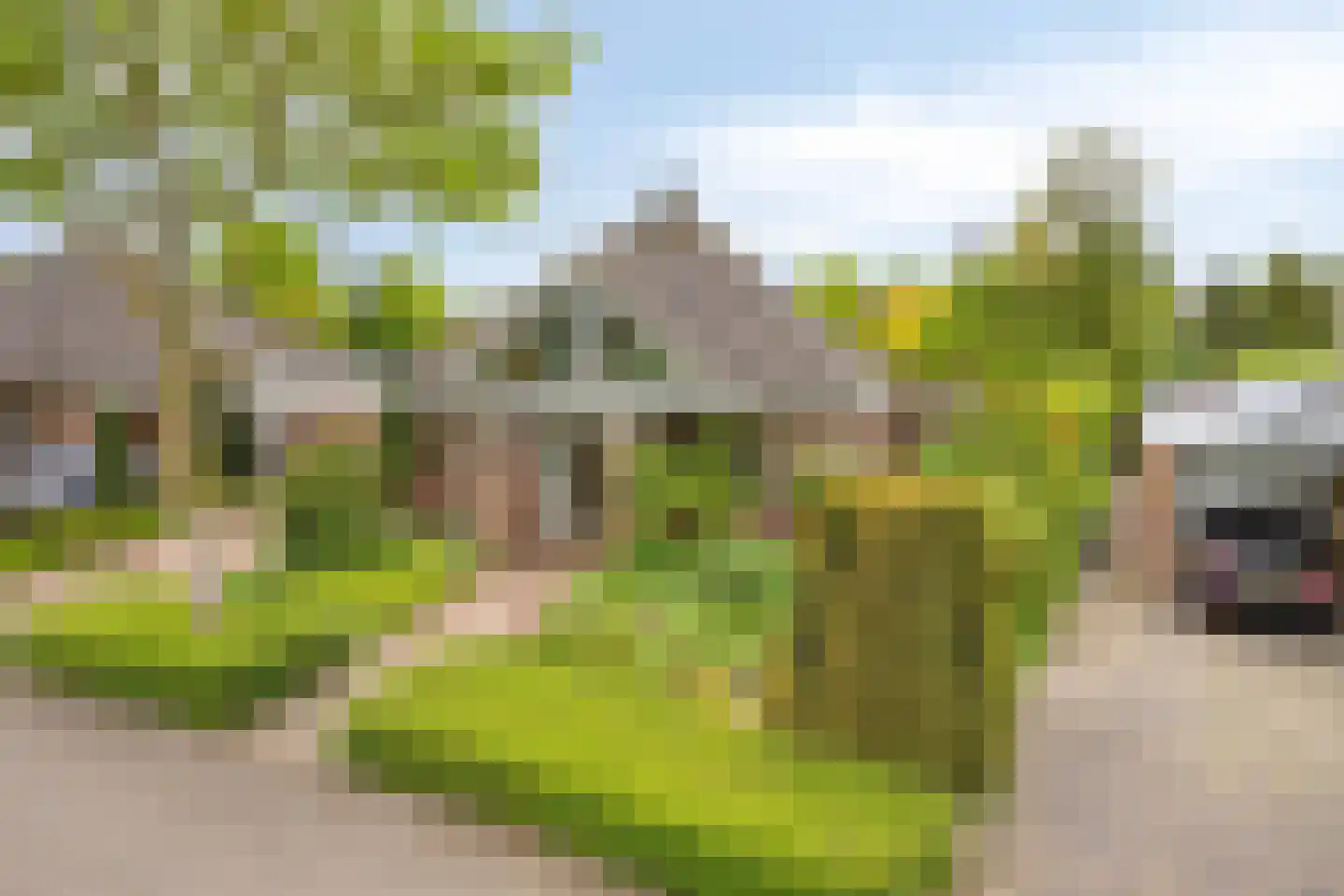 Golfresidentie 84 Dronten thumbnail 52