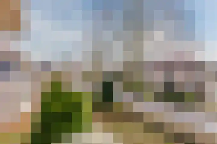 Golfresidentie 87 Dronten thumbnail 27