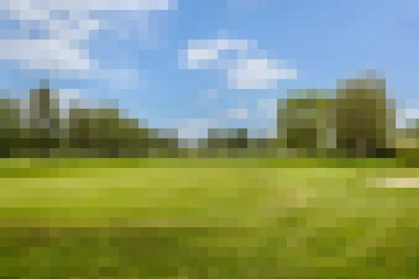Golfresidentie 94 Dronten thumbnail 59