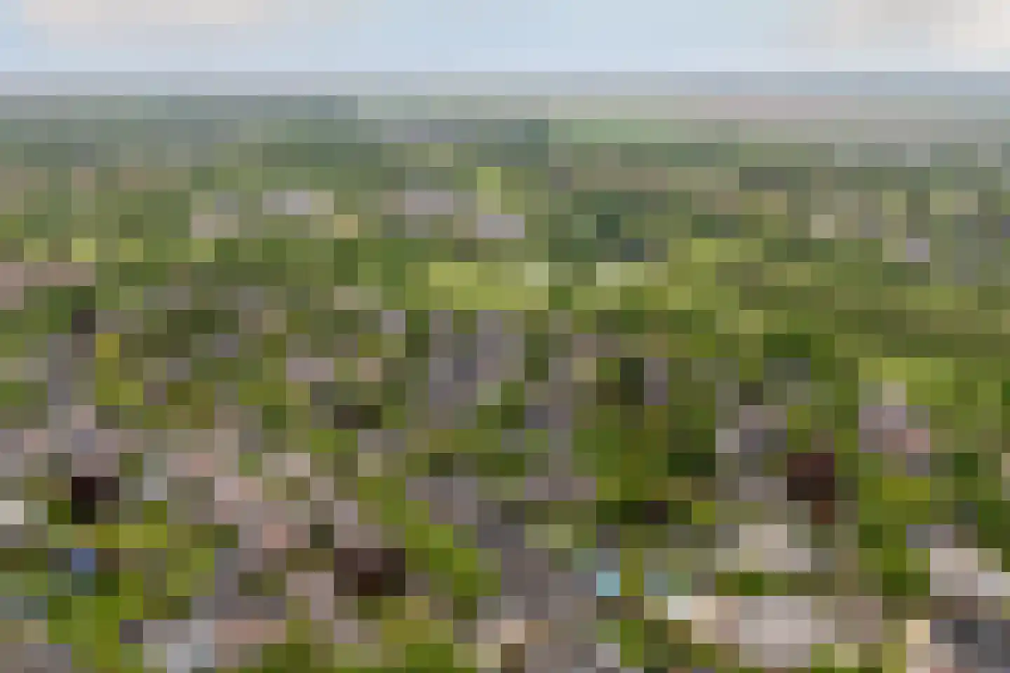 Golfresidentie 94 Dronten thumbnail 60
