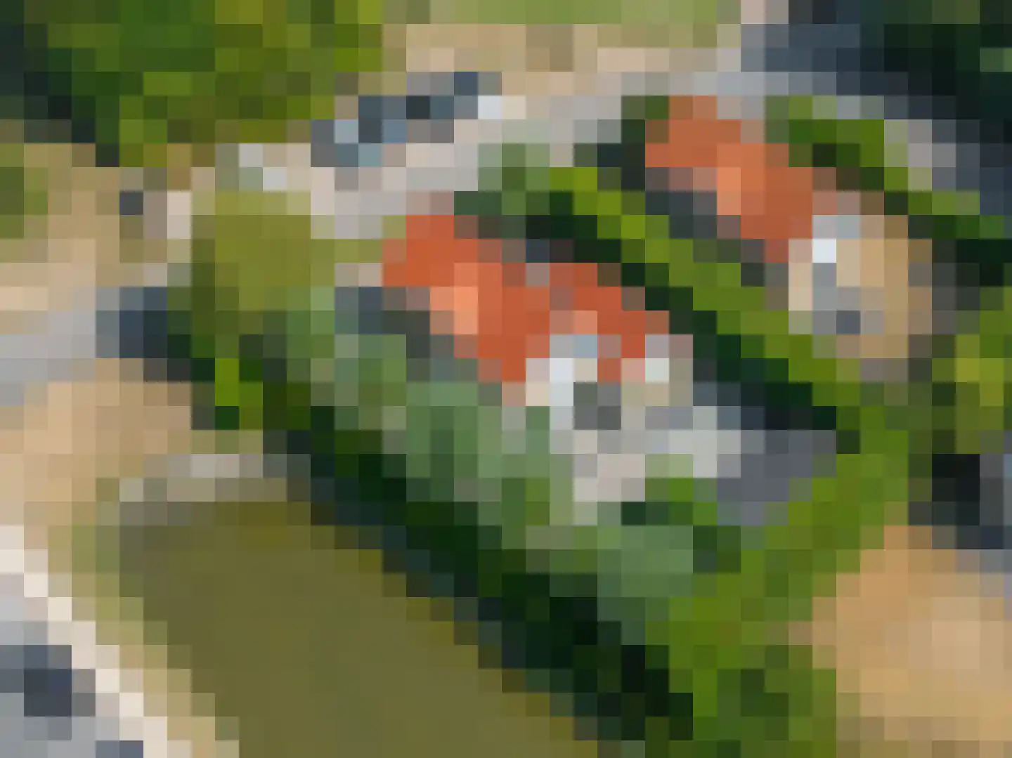 Golfslag 1 Kamperland thumbnail 58