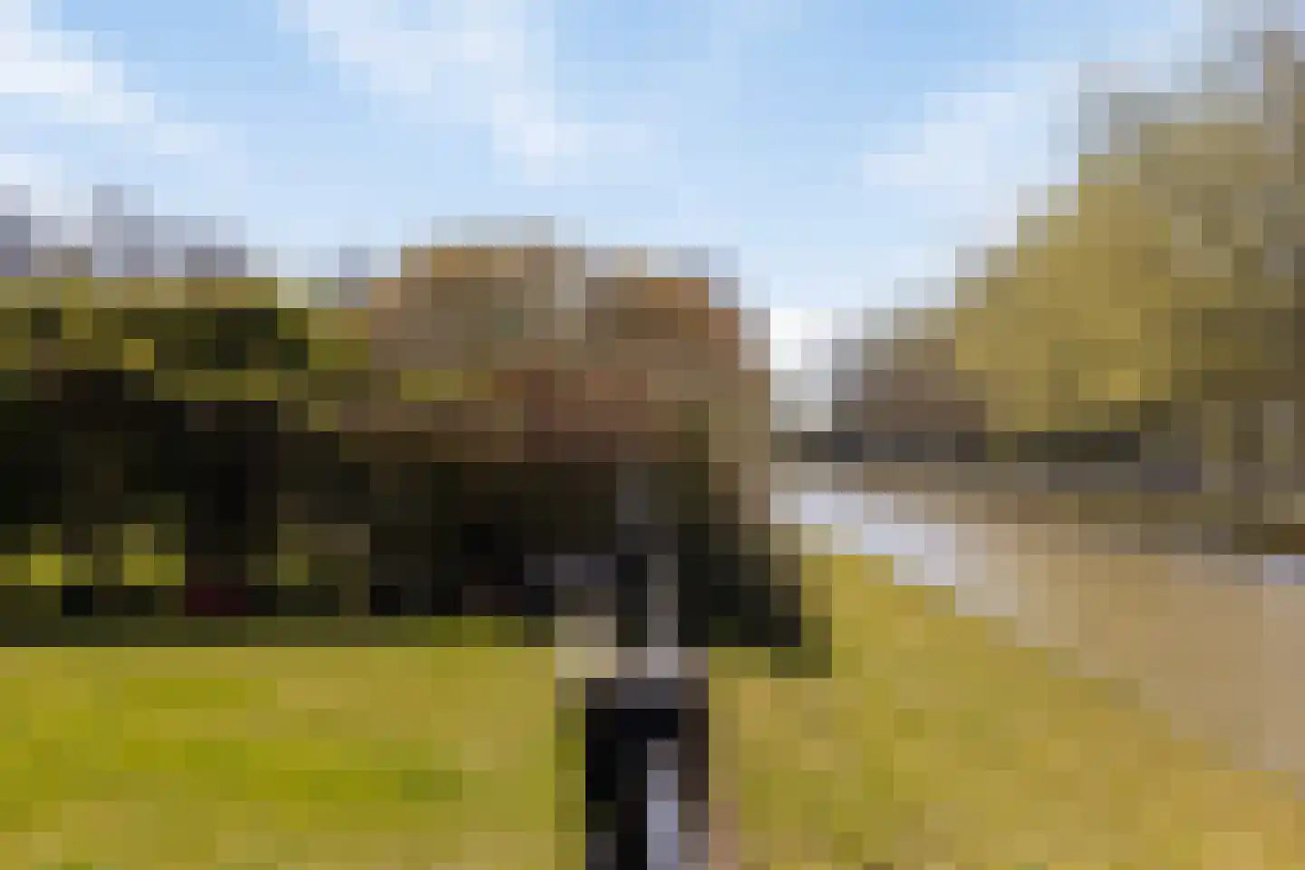 Golfslag 11 Kamperland thumbnail 33