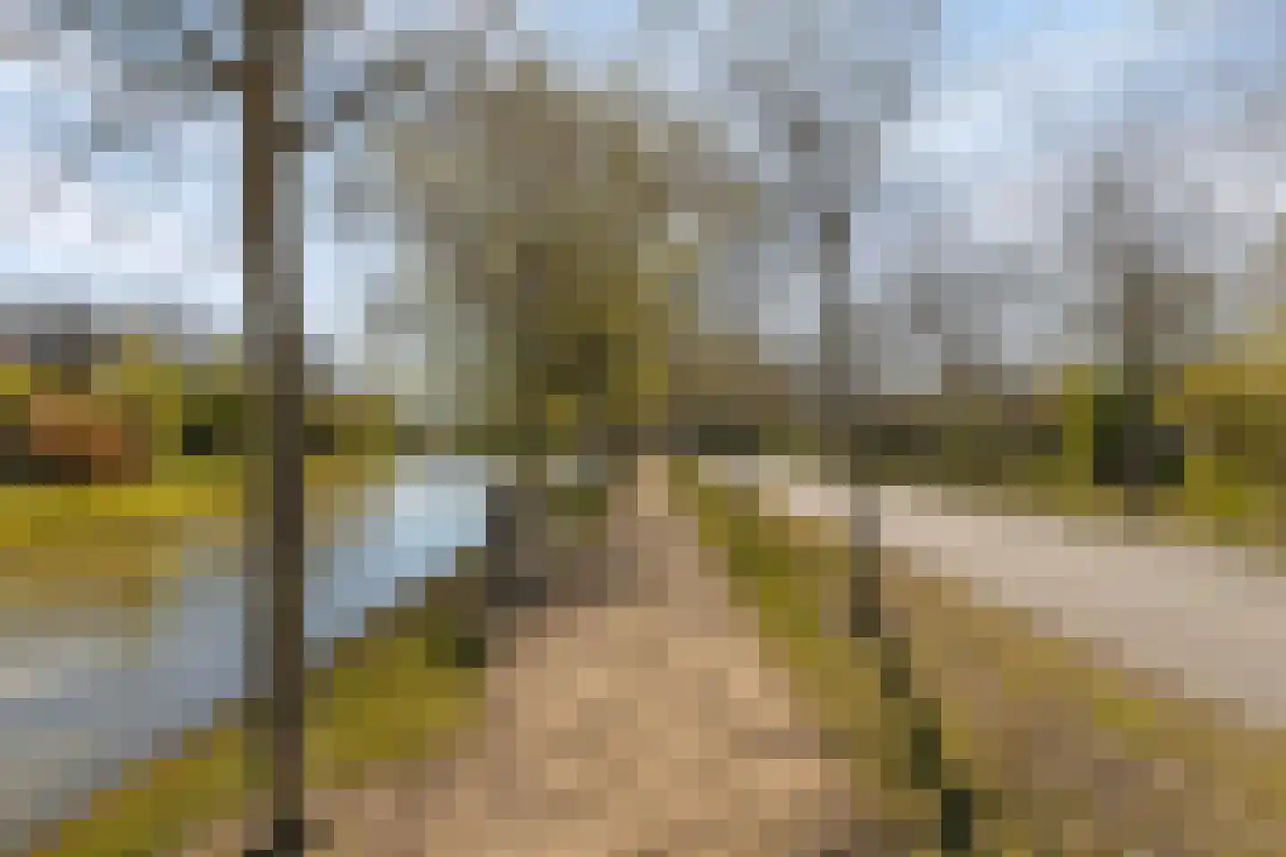 Golfslag 11 Kamperland thumbnail 37