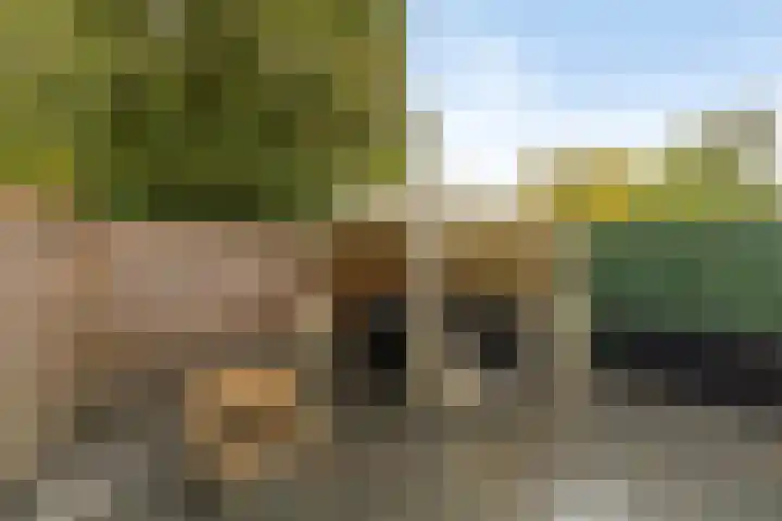 Golfslag 127 Groningen thumbnail 26