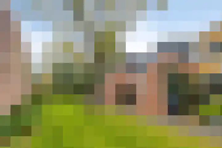 Golfslag 127 Groningen thumbnail 30