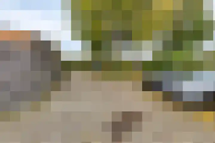 Golfslag 127 Groningen thumbnail 32