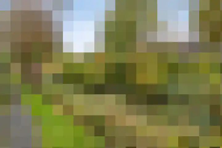 Golfslag 127 Groningen thumbnail 33