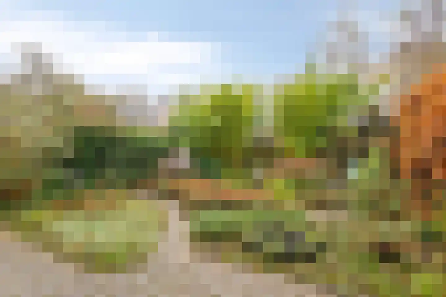 Golfslag 164 Groningen thumbnail 43