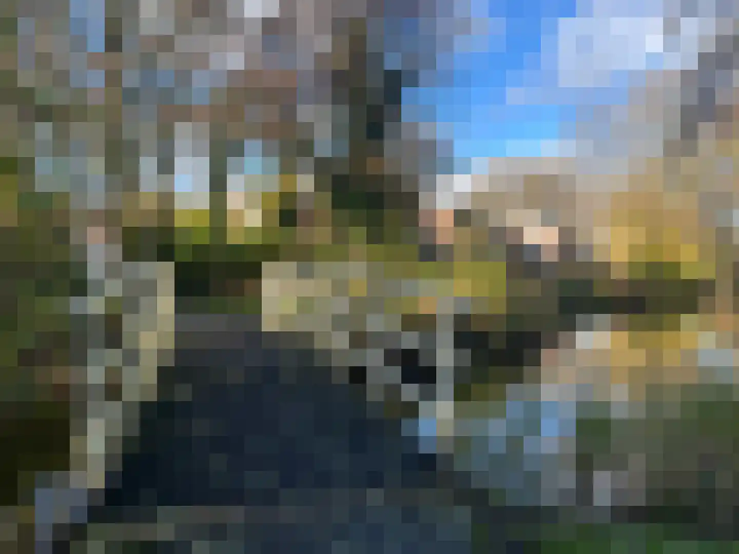 Golfslag 164 Groningen thumbnail 57