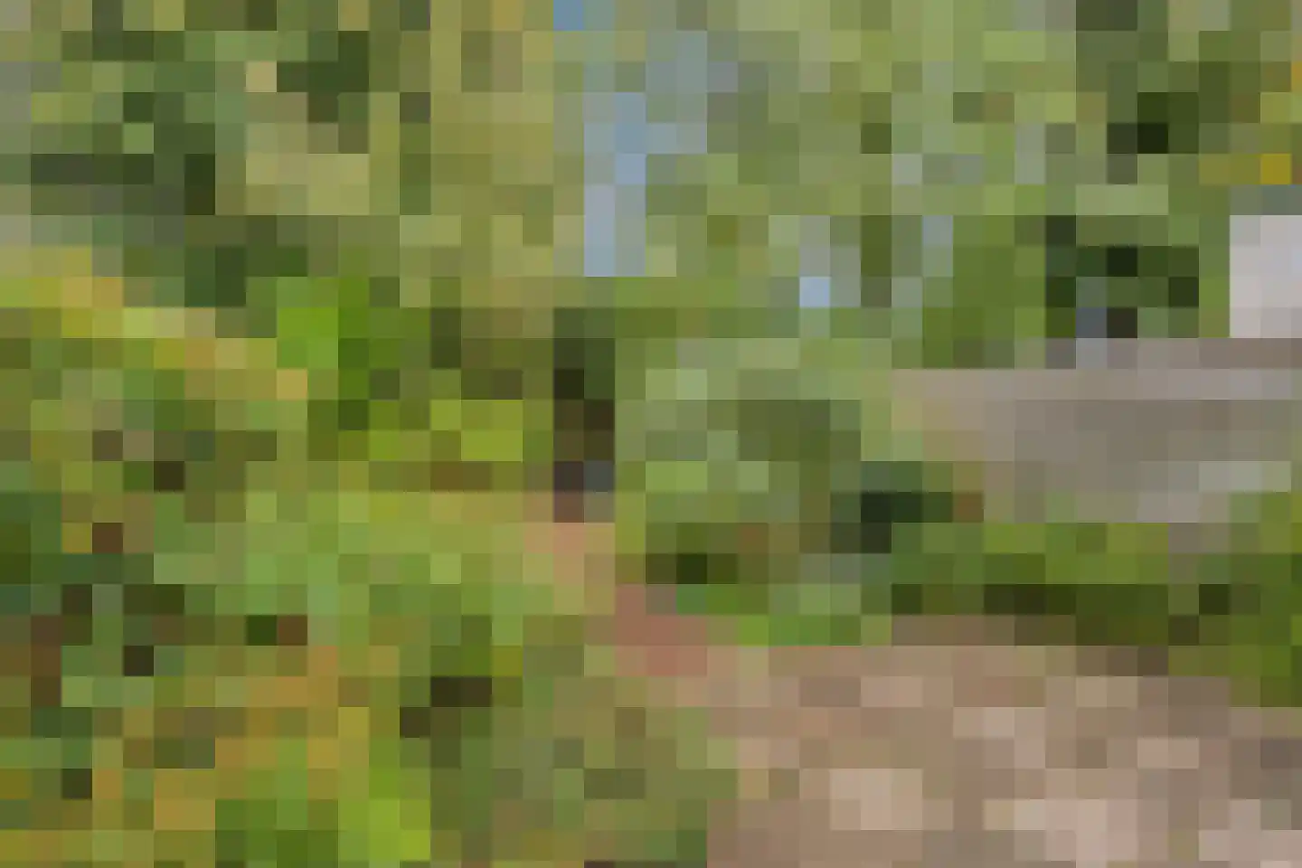 Golfslag 33 Groningen thumbnail 38