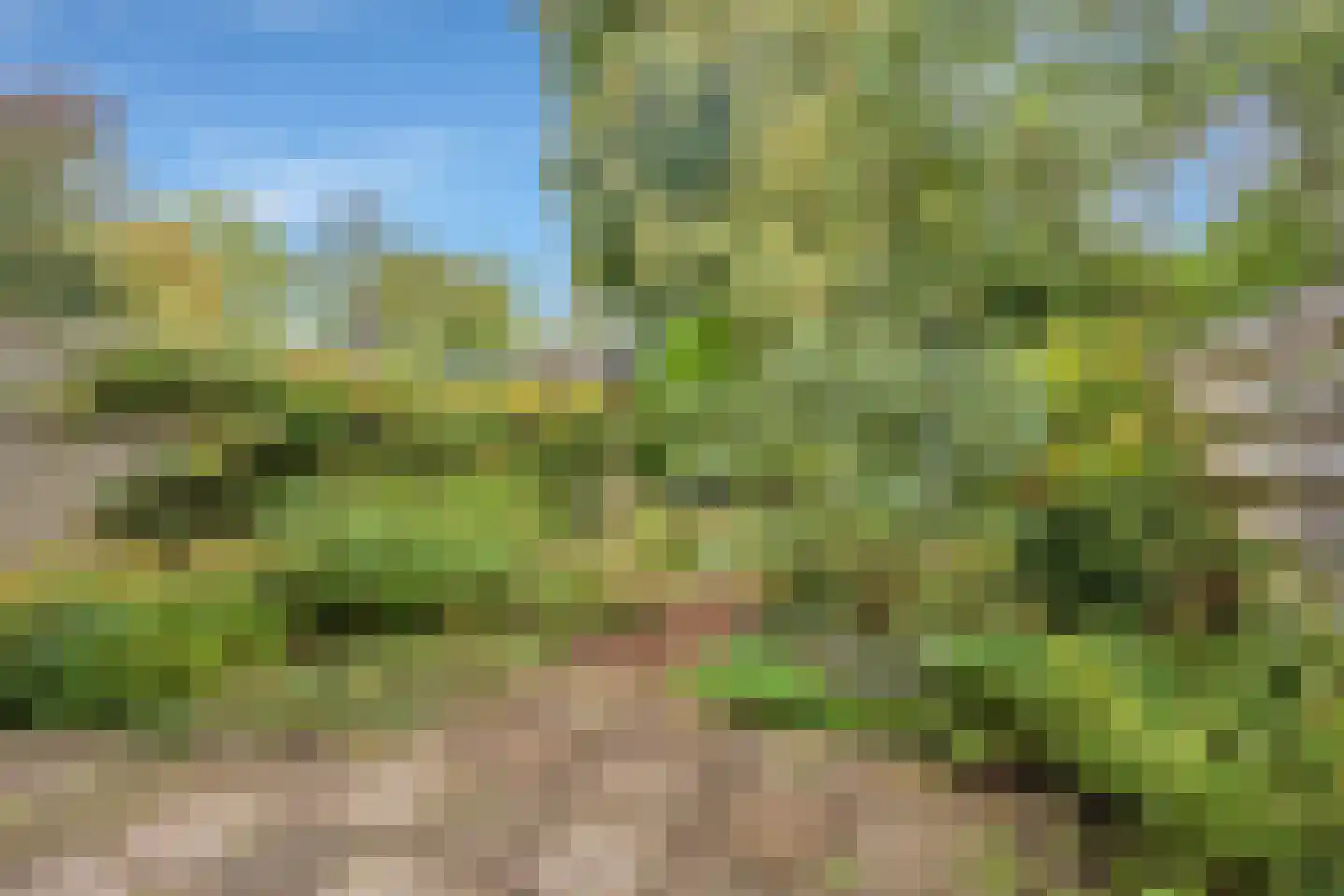 Golfslag 33 Groningen thumbnail 39