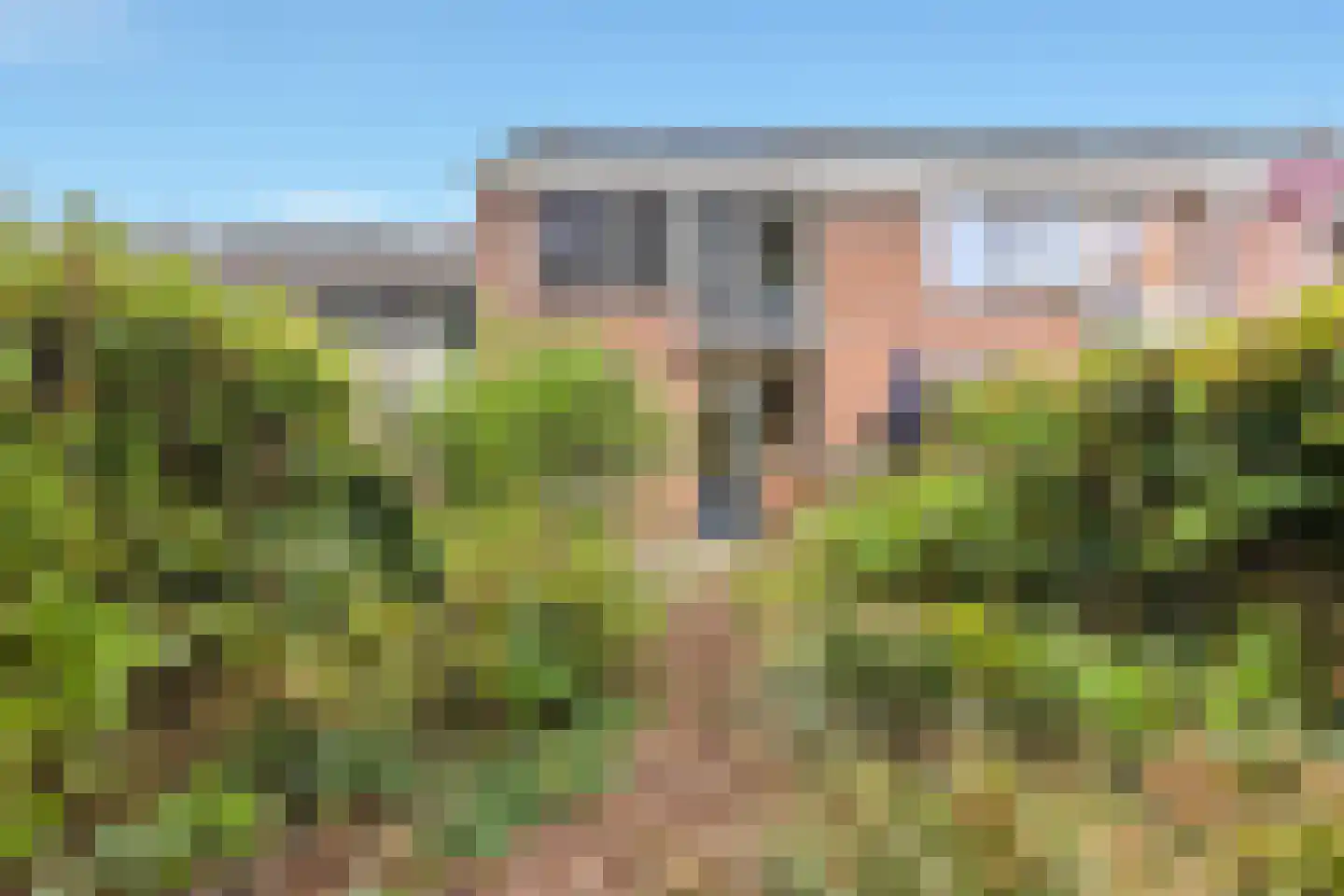 Golfslag 33 Groningen thumbnail 4