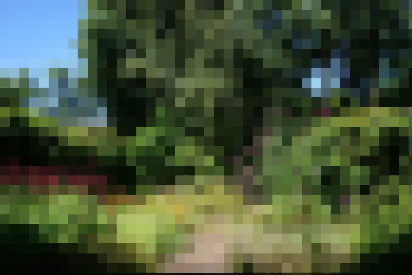 Golfslag 33 Groningen thumbnail 41