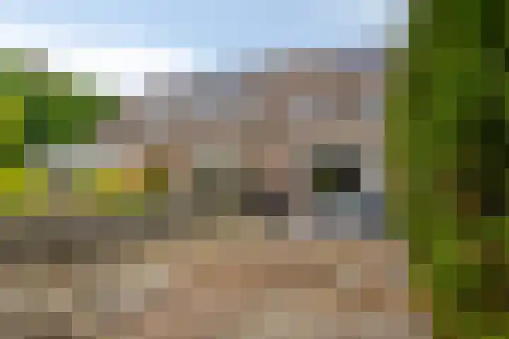 Golfslag 44 12 Groningen thumbnail 29