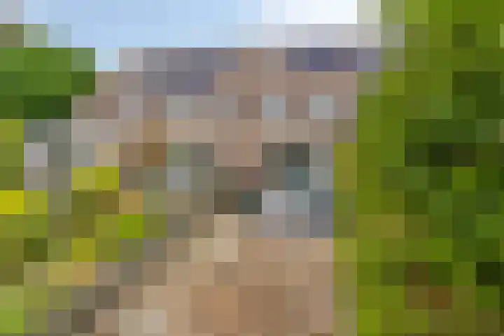 Golfslag 44 12 Groningen thumbnail 31