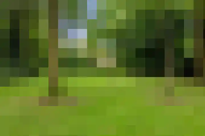 Golfslag 44 12 Groningen thumbnail 34