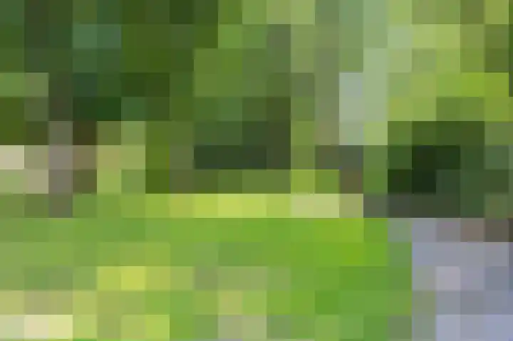 Golfslag 45 Groningen thumbnail 12