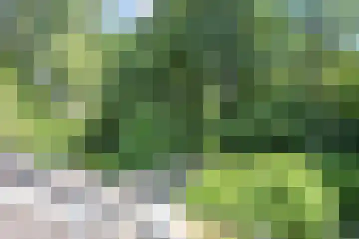 Golfslag 45 Groningen thumbnail 43