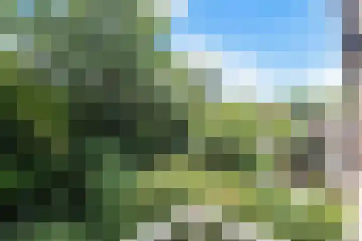 Golfslag 45 Groningen thumbnail 44