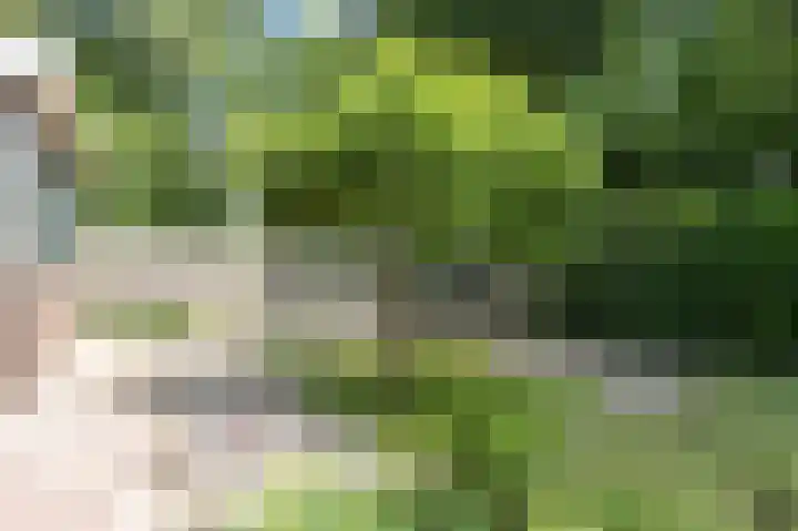 Golfslag 45 Groningen thumbnail 56