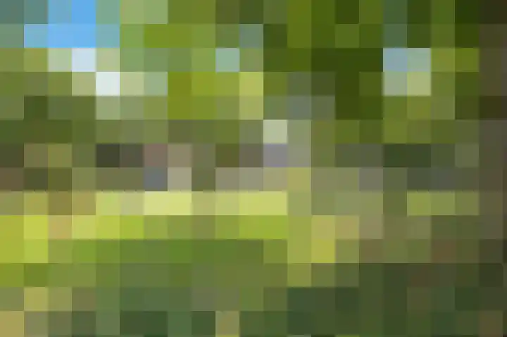 Golfslag 45 Groningen thumbnail 61