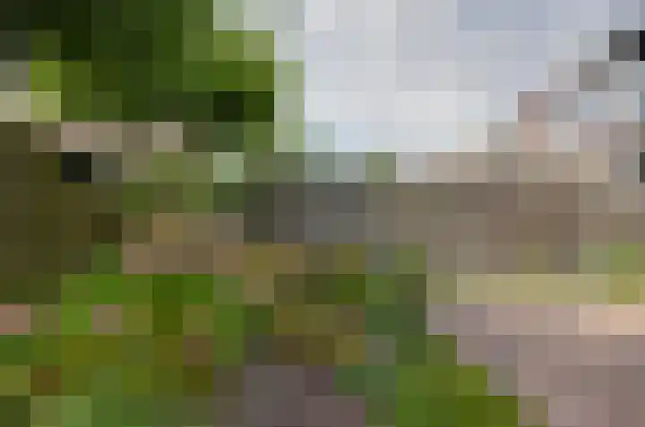 Golfslag 70 Groningen thumbnail 35