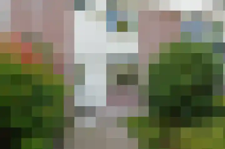 Golfslag 70 Groningen thumbnail 4