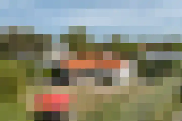 Golfslag 8 Zoutelande