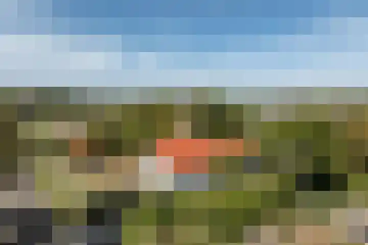 Golfslag 8 Zoutelande thumbnail 10