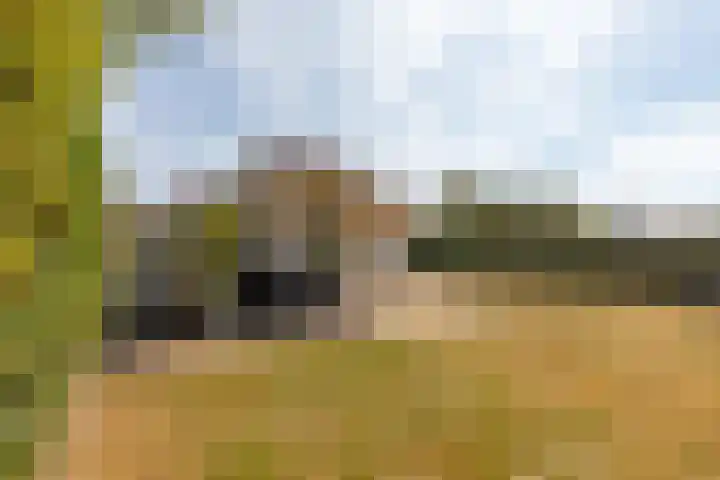 Golfslag 8 Zoutelande thumbnail 30
