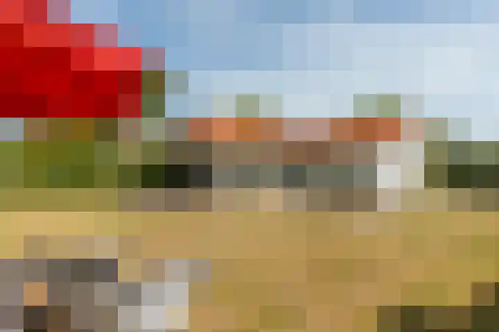 Golfslag 8 Zoutelande thumbnail 31