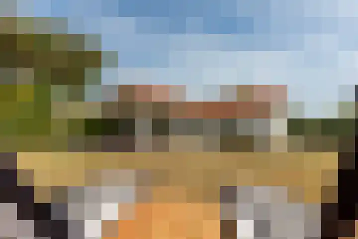 Golfslag 8 Zoutelande thumbnail 32