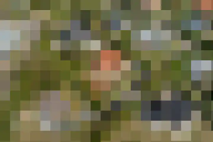 Golfslag 8 Zoutelande thumbnail 34