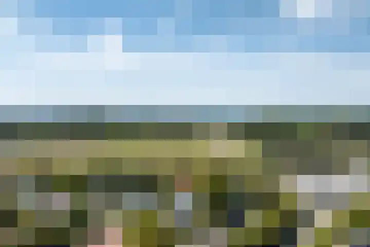 Golfslag 8 Zoutelande thumbnail 35