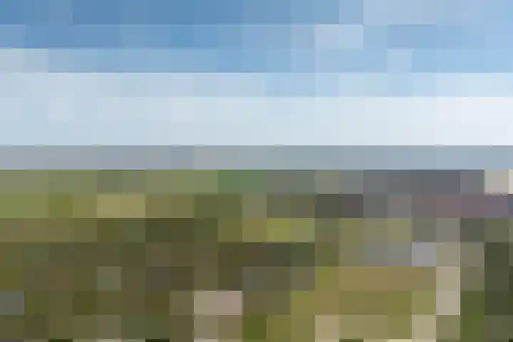 Golfslag 8 Zoutelande thumbnail 36