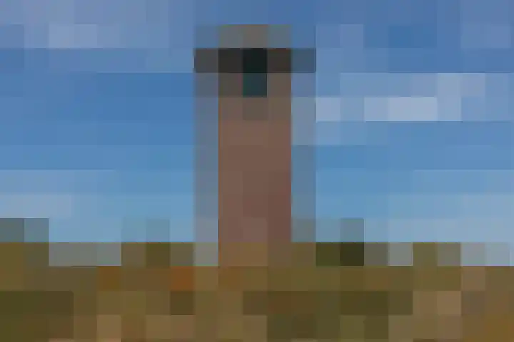 Golfslag 8 Zoutelande thumbnail 39