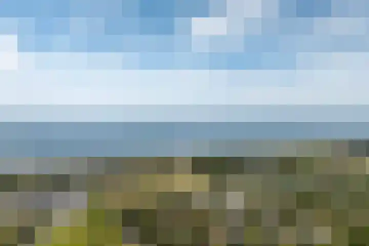 Golfslag 8 Zoutelande thumbnail 4