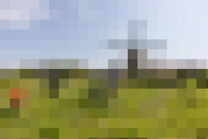 Golfslag 8 Zoutelande thumbnail 41