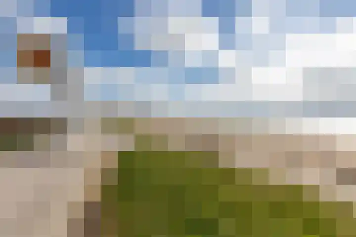 Golfslag 8 Zoutelande thumbnail 45