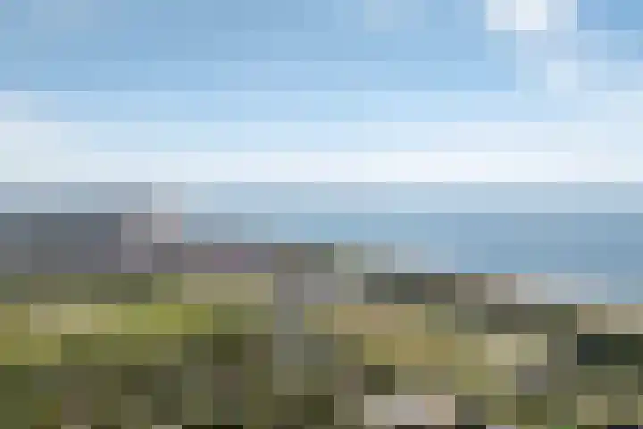 Golfslag 8 Zoutelande thumbnail 8