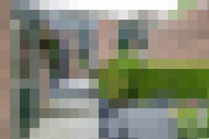 Golfslag 83 Groningen thumbnail 25