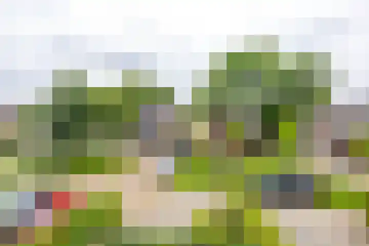 Golfslag 83 Groningen thumbnail 38