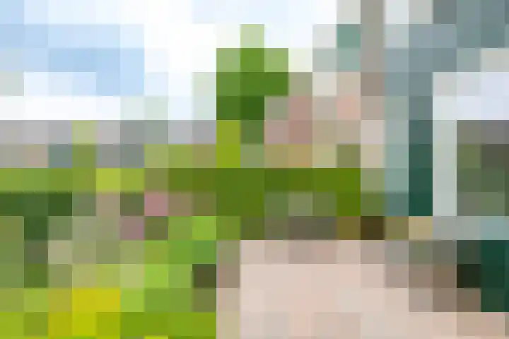 Golfslag 83 Groningen thumbnail 39